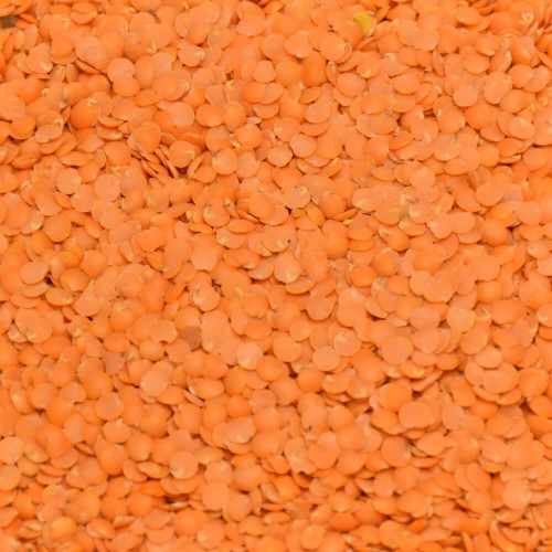 Čočka červená půlená