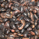 Fazole velká barevná