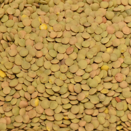 Čočka velkozrnná Život bez lepku