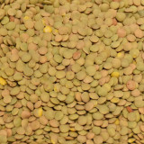 Čočka velkozrnná Život bez lepku