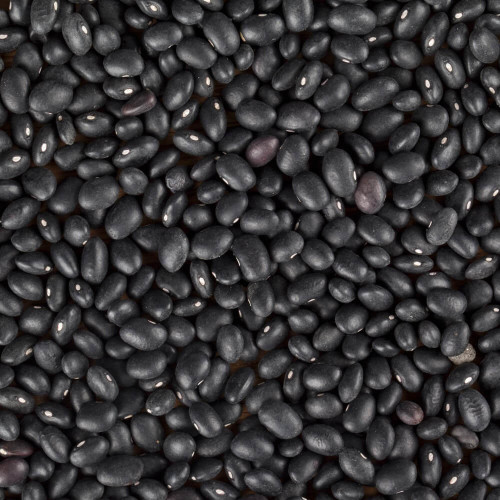 Fazole malá černá