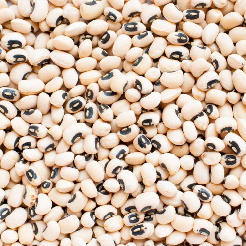 Fazole malá černé oko