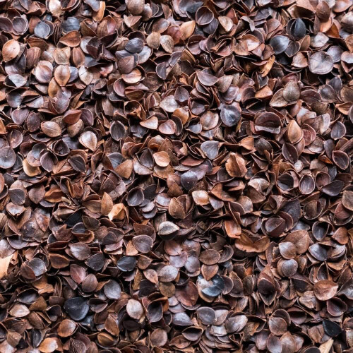 Pohankový relaxační válec 15 x 70 cm zelený