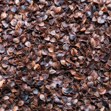 Pohankový relaxační válec 15 x 70 cm zelený