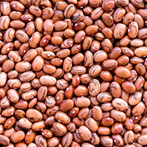 Fazole malá hnědá pinto Život bez lepku