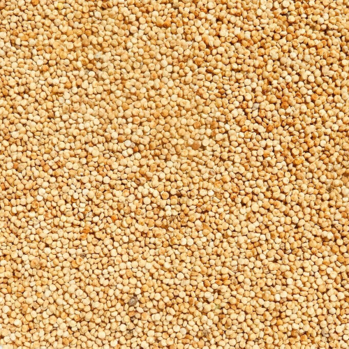 Quinoa bílá Život bez lepku