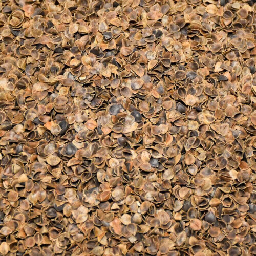 Pohankové slupky výplň 14 kg