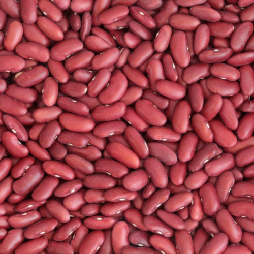 Fazole malá červená ledvina Život bez lepku