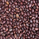 Fazole malá barevná Život bez lepku